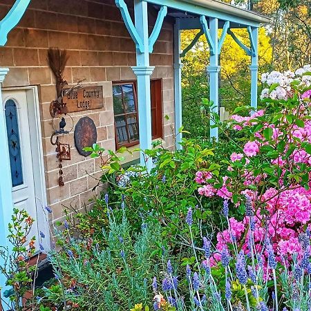 Blue Country Lodge Katoomba Exterior photo